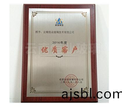成都南(nan)玻(bo)玻(bo)瓈(li)有限(xian)公(gong)司優良(liang)客(ke)戶證書(shu)